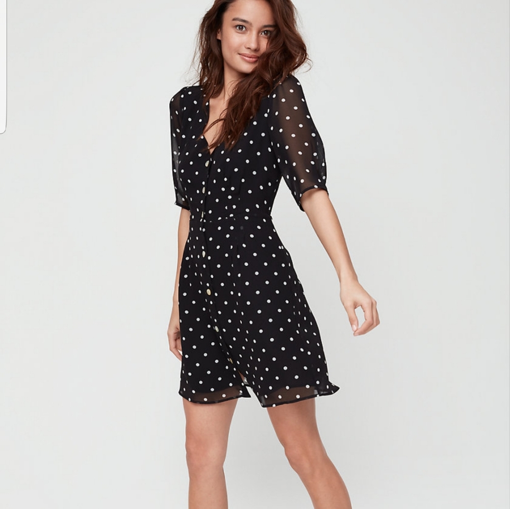 Aritzia Wilfred button front dress